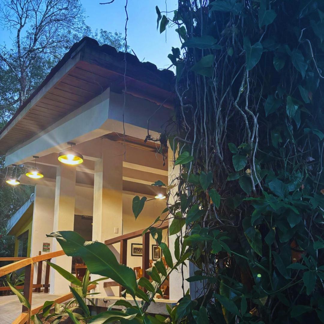 פלנקה Hotel La Aldea Del Halach Huinic מראה חיצוני תמונה