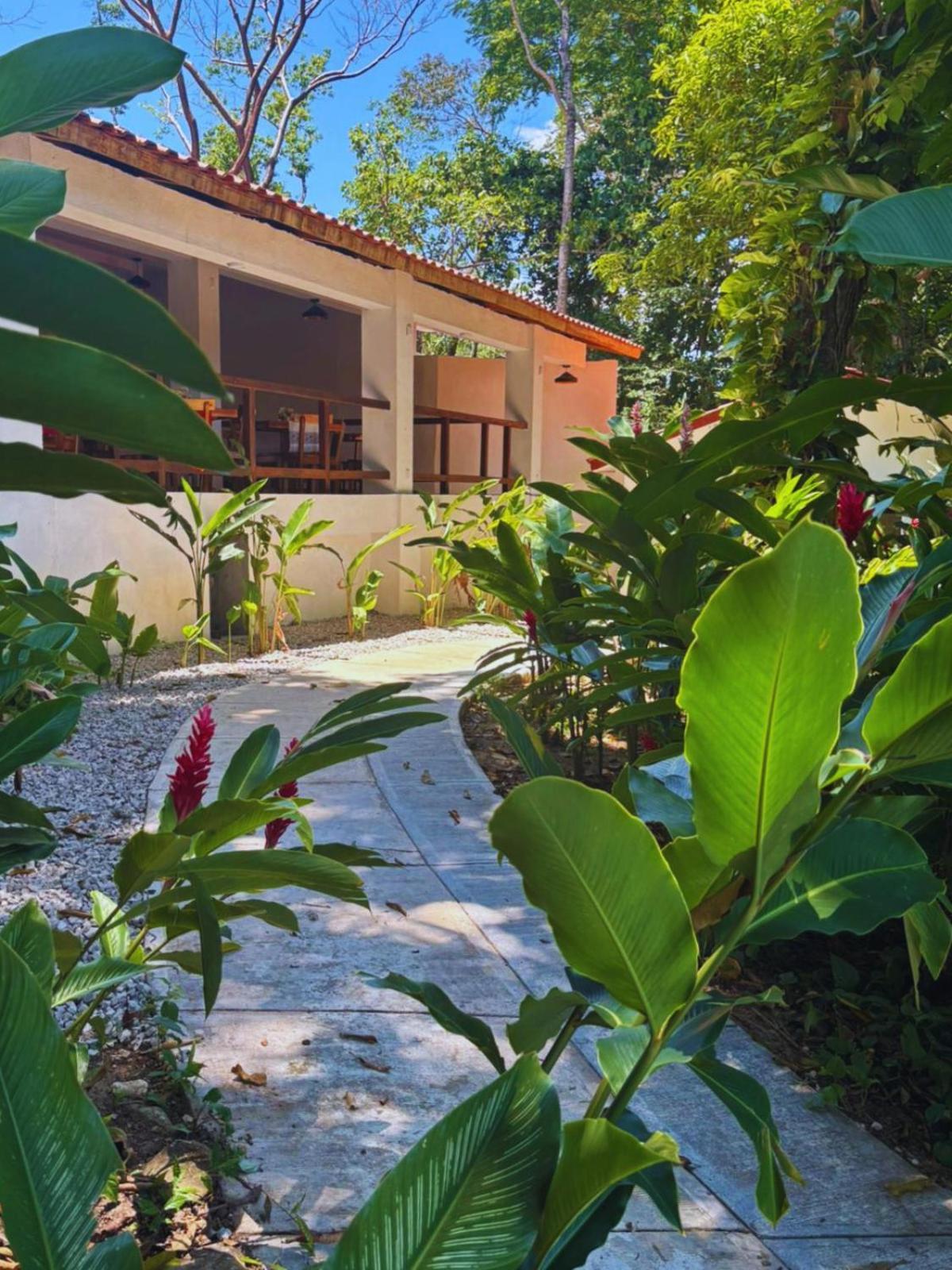 פלנקה Hotel La Aldea Del Halach Huinic מראה חיצוני תמונה